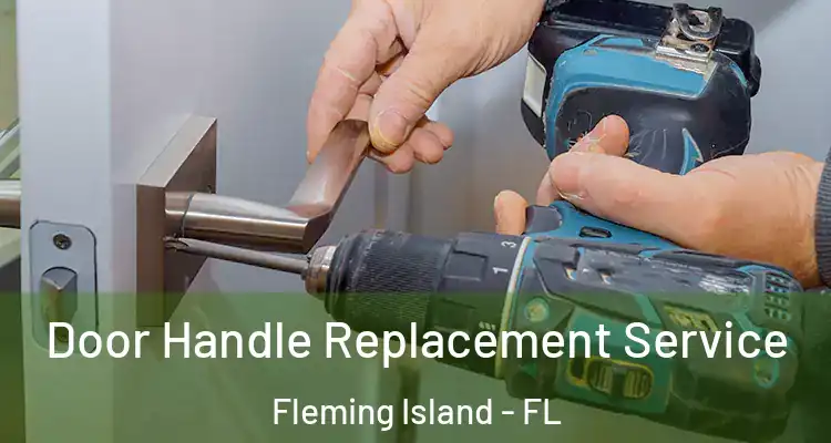  Door Handle Replacement Service Fleming Island - FL