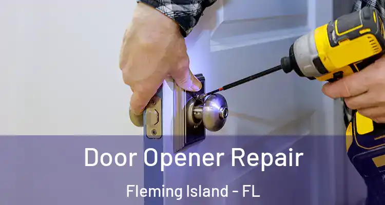  Door Opener Repair Fleming Island - FL