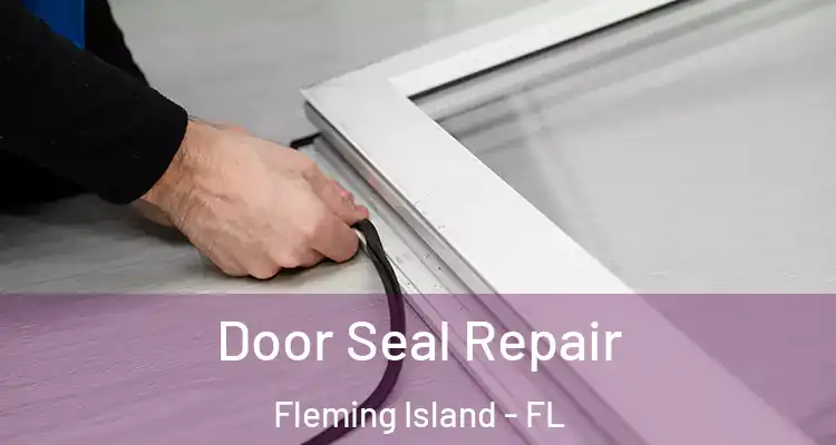  Door Seal Repair Fleming Island - FL