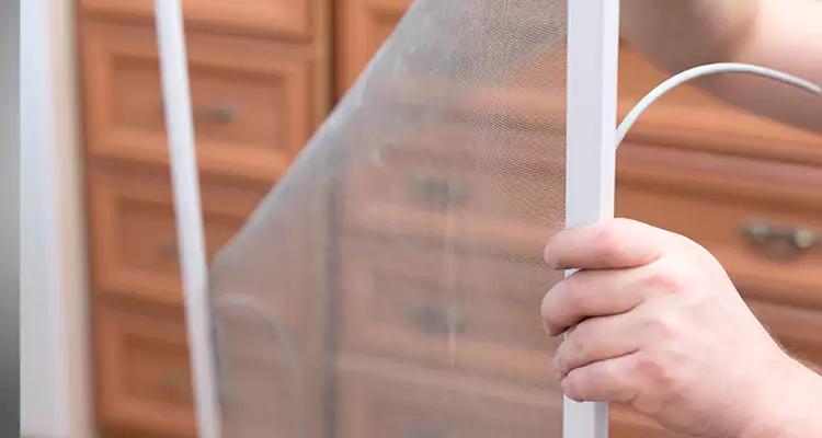 Privacy Mesh Screen Door Installation in Fleming Island, FL