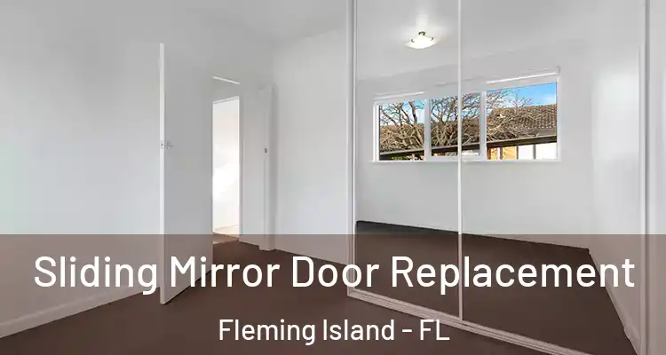  Sliding Mirror Door Replacement Fleming Island - FL